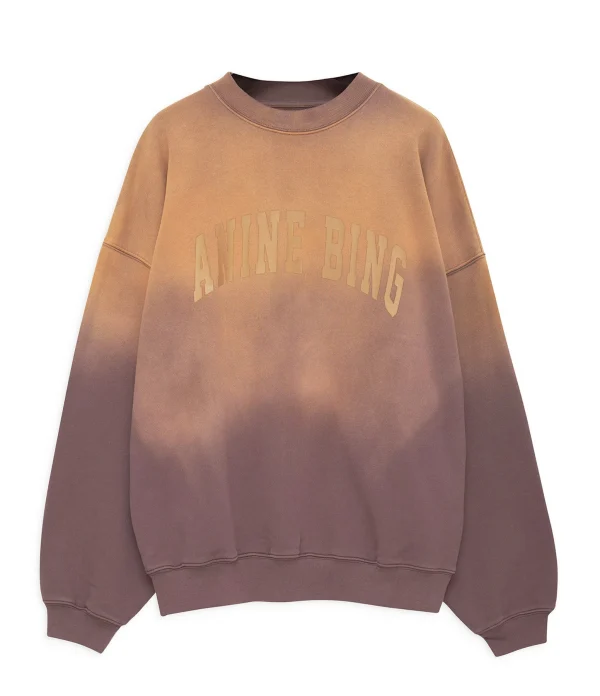 ANINE BING Sweatshirt Harvey Coton Marron Délavé 1