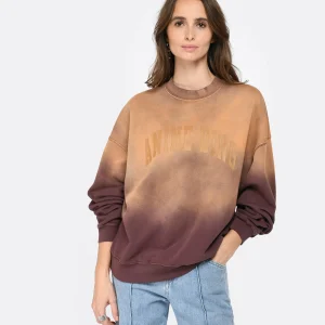 ANINE BING Sweatshirt Harvey Coton Marron Délavé 10