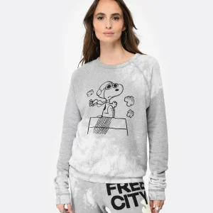 FREECITY Pull Basicgoodness Coton Gris 12