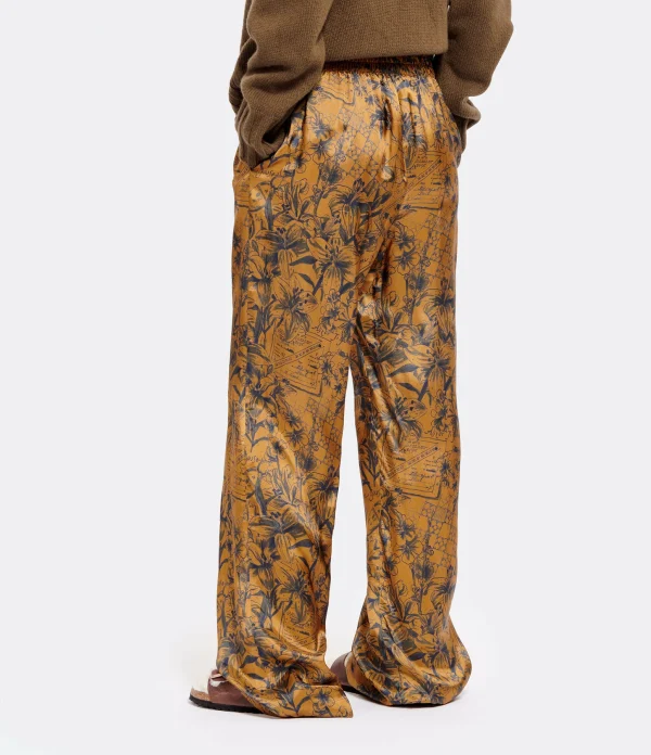 Golden Goose Pantalon Journey Marron Bleu 7