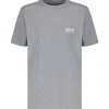 Golden Goose Tee-shirt Big Star Coton Gris 14