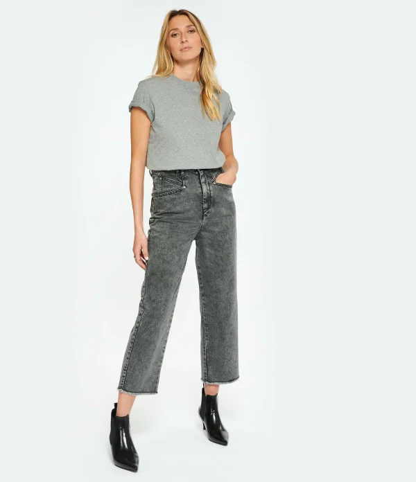 Isabel Marant Jean Dilali Coton Gris 3