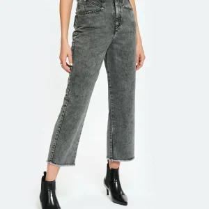 Isabel Marant Jean Dilali Coton Gris 11