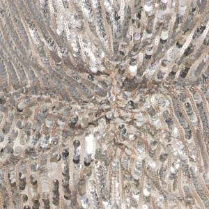 ROTATE Robe Sierina Sequin Argenté 11